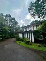 Thomson Road (D11), Detached #498337221